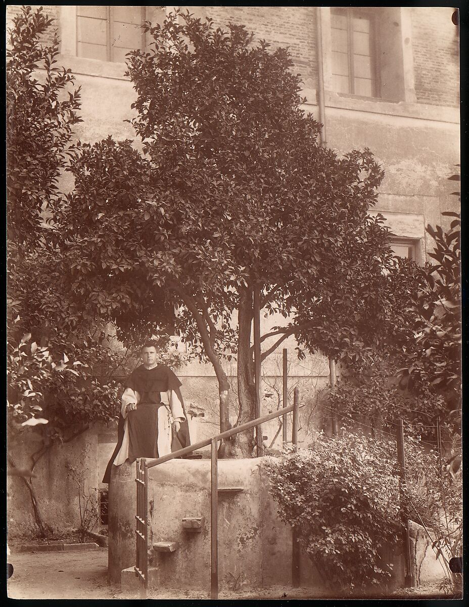[St. Domenic's Orange Tree on the Aventine], Unknown, Albumen silver print from glass negative 