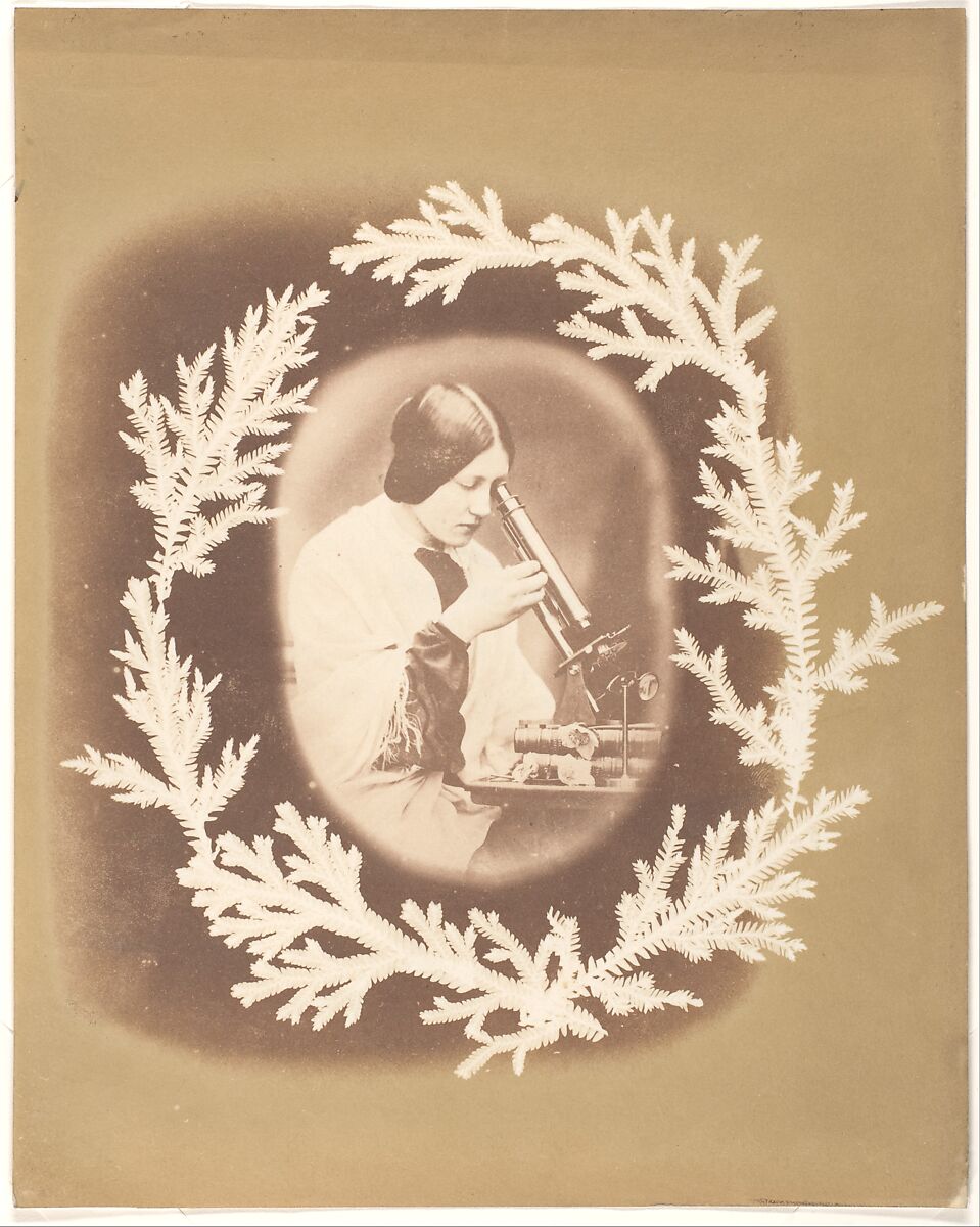 [Thereza Dillwyn Llewelyn with Her Microscope], John Dillwyn Llewelyn (British, Swansea, Wales 1810–1882 Swansea, Wales), Salted paper print from glass negative 