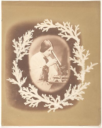 [Thereza Dillwyn Llewelyn with Her Microscope]