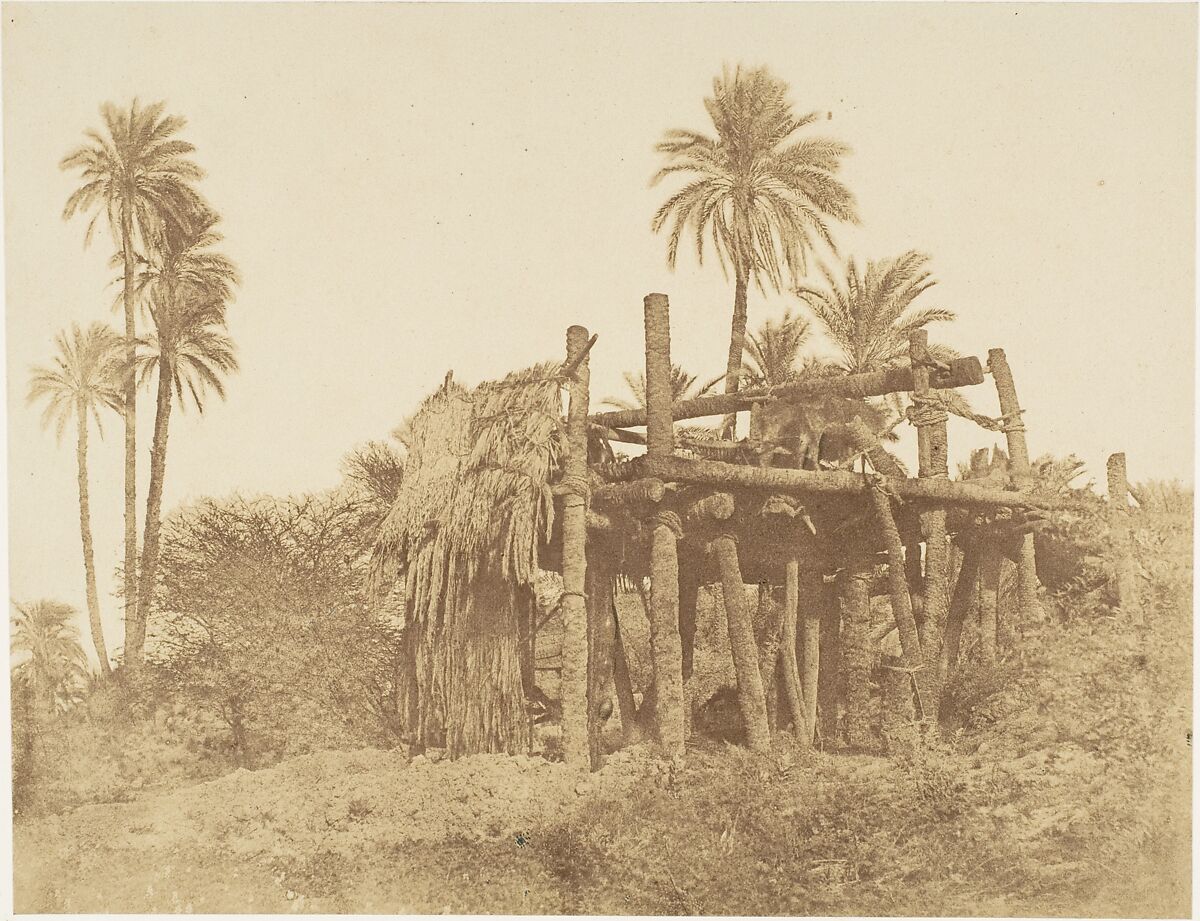 Nubian Sakkieh, or Water Wheel, Attributed to Robert Murray (British, Edinburgh 1822–1893 Plymouth), Albumen silver print 