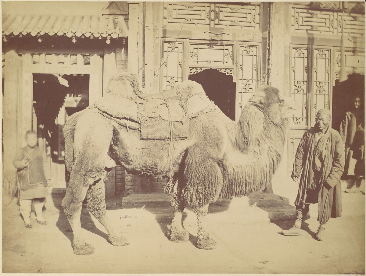 Pekin. No. 923, Attributed to Lai Afong (Chinese, 1839–1890), Albumen silver print from glass negative 