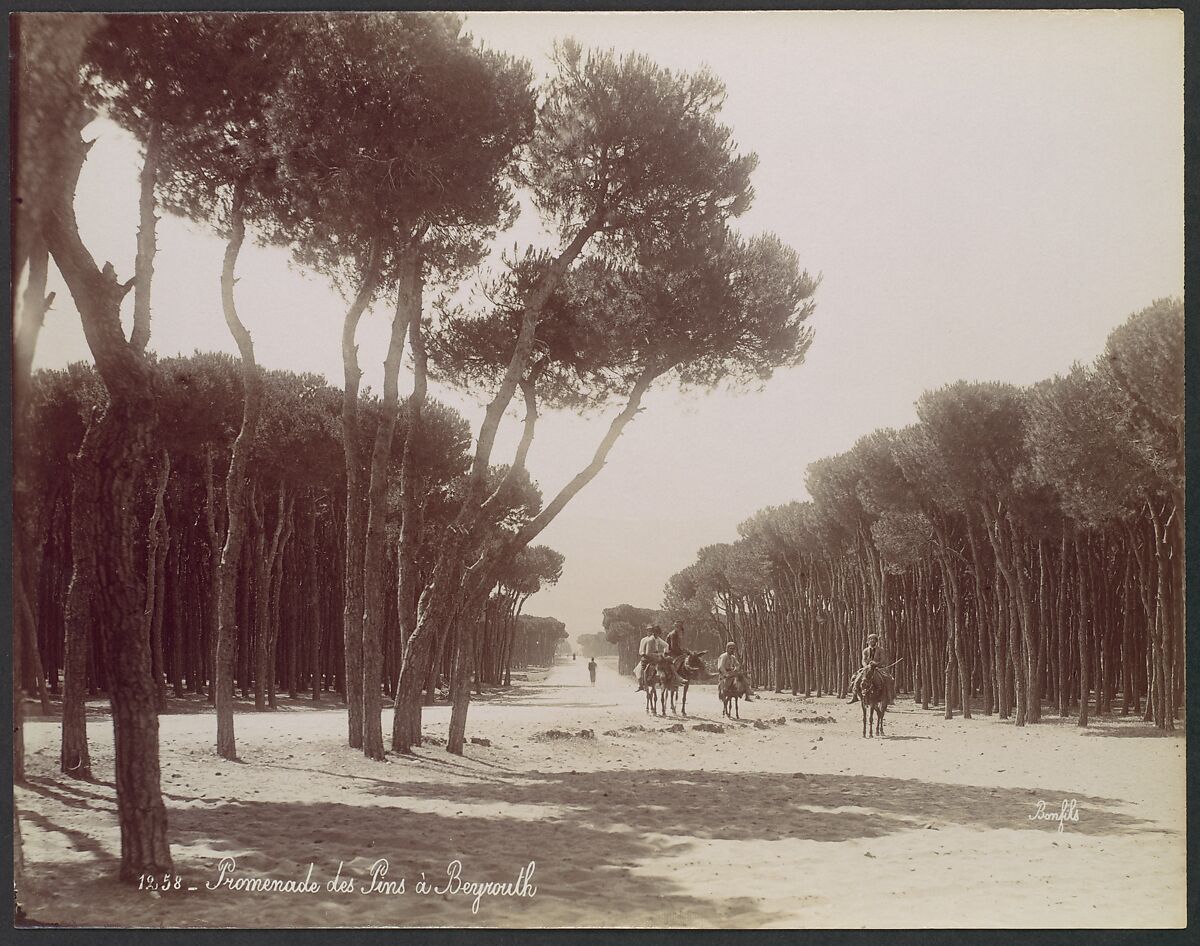 Promenade des Pins à Beyrouth, Félix Bonfils (French, 1831–1885), Albumen silver print 