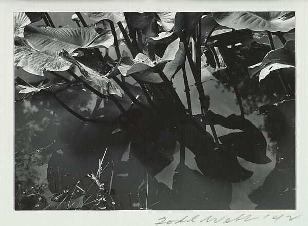 Detroit, Todd Webb (American, 1905–2000), Gelatin silver print 