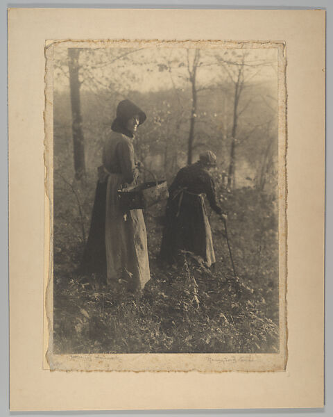 Gathering Mushrooms, Nancy Ford Cones (American, 1869–1962), Gelatin silver print 