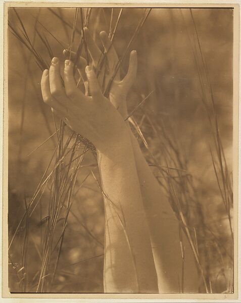 Dana's Hands and Grasses, Long Island, New York, Edward J. Steichen (American (born Luxembourg), Bivange 1879–1973 West Redding, Connecticut), Gelatin silver print 