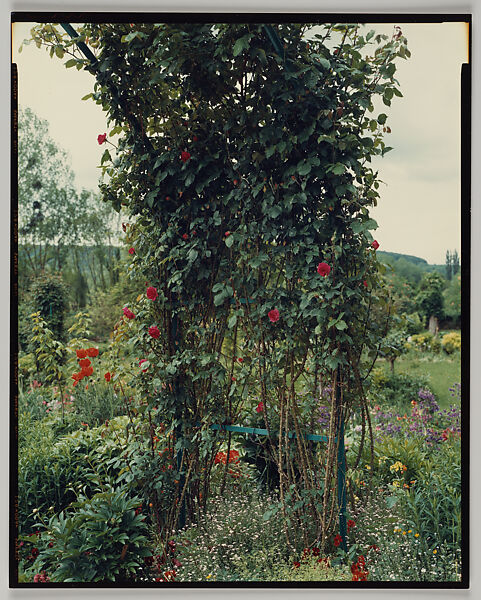 Giverny, Stephen Shore (American, born 1947), Chromogenic print 