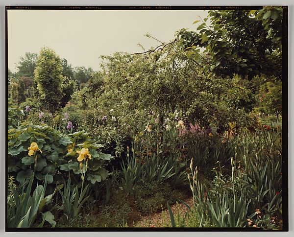 Giverny, Stephen Shore (American, born 1947), Chromogenic print 