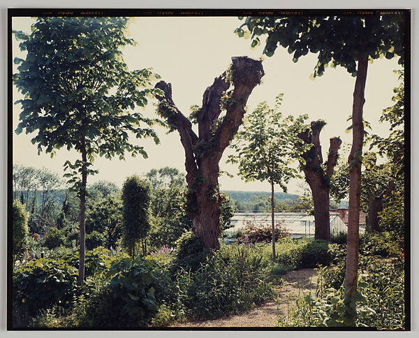 Giverny, Stephen Shore (American, born 1947), Chromogenic print 