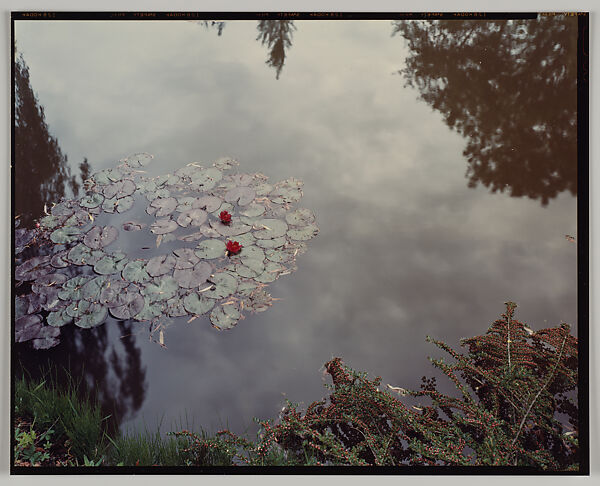 Giverny, Stephen Shore (American, born 1947), Chromogenic print 