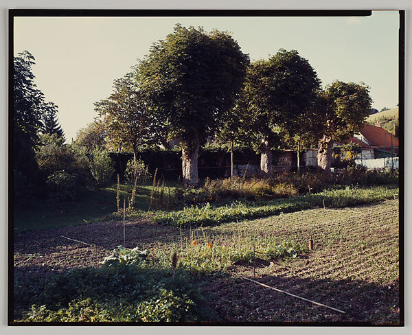 Giverny, Stephen Shore (American, born 1947), Chromogenic print 