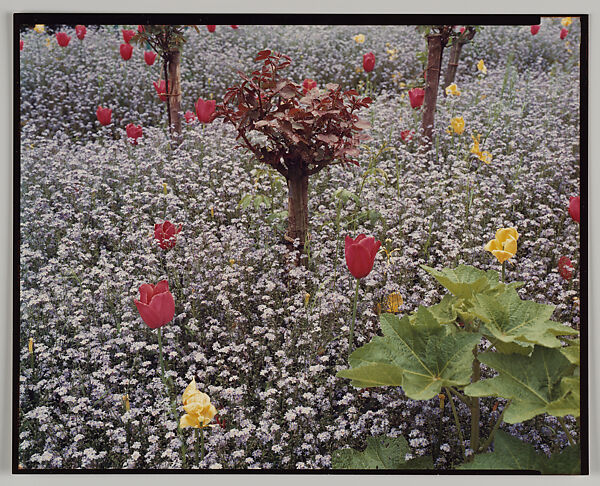 Giverny, Stephen Shore (American, born 1947), Chromogenic print 