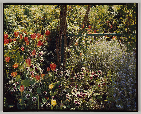 Giverny, Stephen Shore (American, born 1947), Chromogenic print 