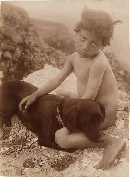 [Nude Young Child with Dog in Lap, Sicily, Italy], Wilhelm von Gloeden (Italian (born Germany), 1886–1931), Albumen silver print from glass negative 