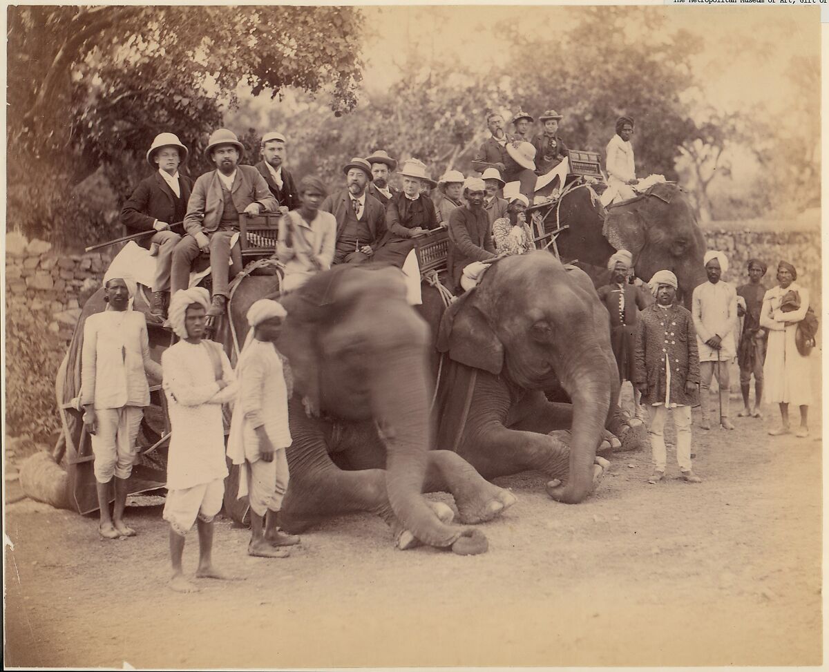 Elephant Group, Unknown, Albumen silver print from glass negative 
