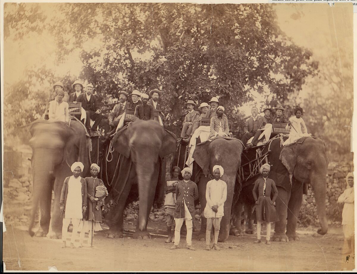 [Four Elephants with Western Travellers and Attendants, Jaipur, India], Unknown, Albumen silver print from glass negative 