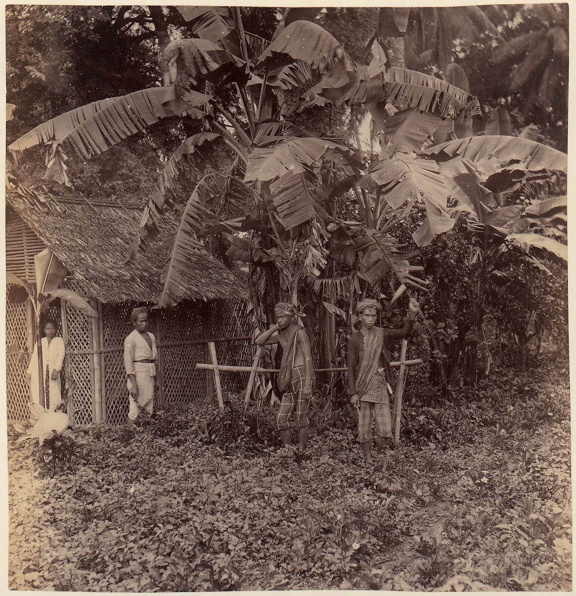 Batavia, Unknown, Albumen silver print from glass negative 