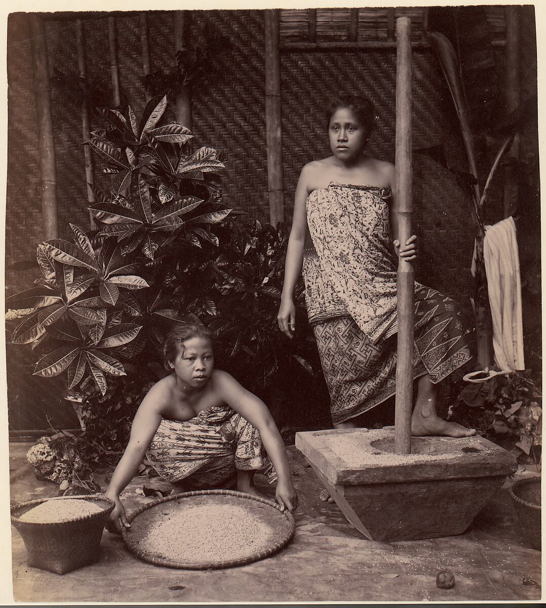 Javanese Women Preparing Rice, Unknown, Albumen silver print from glass negative 
