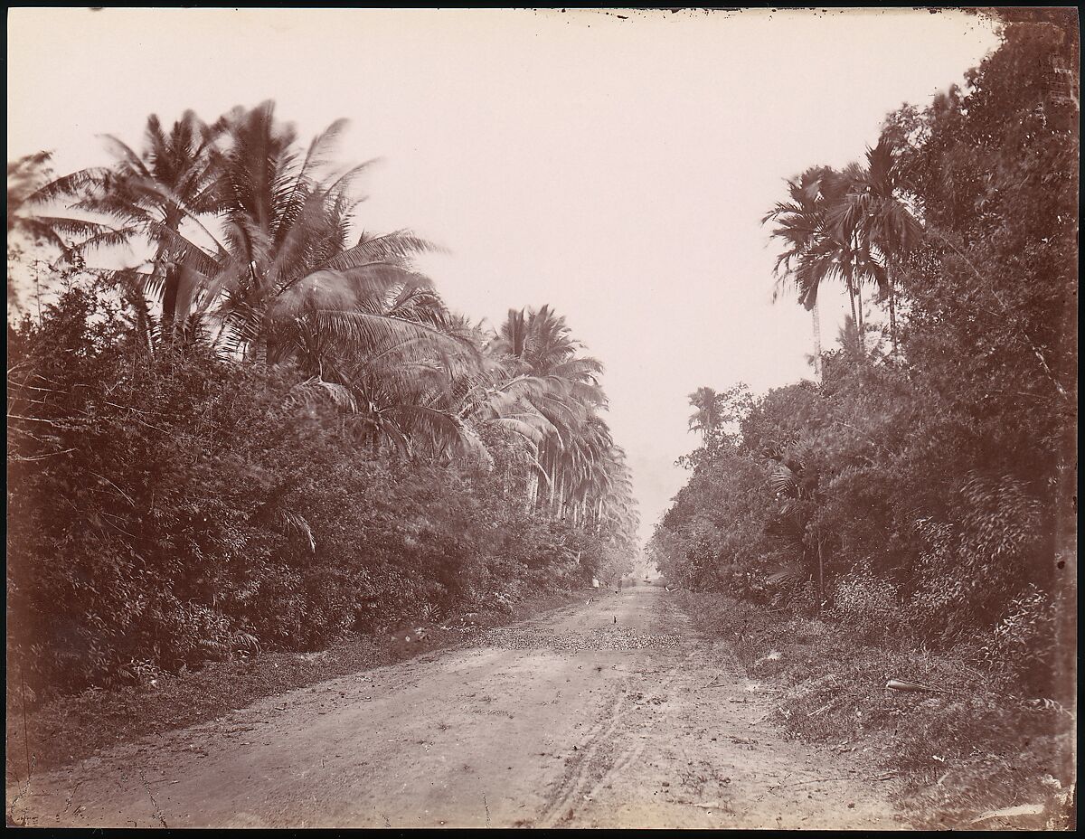 Road Near Singapore, Unknown, Albumen silver print from glass negative 