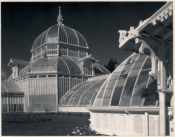 Conservatory, Golden Gate Park, San Francisco, California, Ansel Easton Adams (American, San Francisco, California 1902–1984 Carmel, California), Instant diffusion transfer print (Polaroid) 