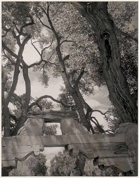 Gate, Pojoaque Road, New Mexico, Ansel Easton Adams (American, San Francisco, California 1902–1984 Carmel, California), Instant diffusion transfer print (Polaroid) 