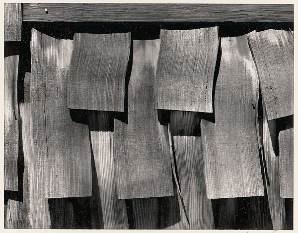 Shingles, Yosemite Valley, California, Ansel Easton Adams (American, San Francisco, California 1902–1984 Carmel, California), Instant diffusion transfer print (Polaroid) 