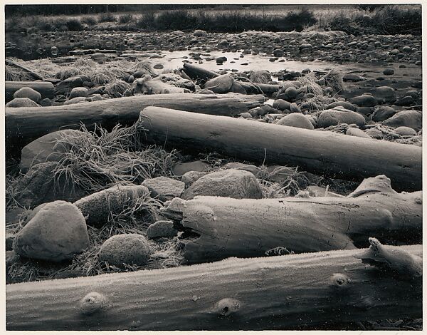 Logs, Rocks, Frost, Yosemite Valley, California, Ansel Easton Adams (American, San Francisco, California 1902–1984 Carmel, California), Instant diffusion transfer print (Polaroid Type 55) 