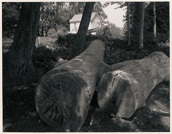 Two Logs and White House near Pescadero, California, Ansel Easton Adams (American, San Francisco, California 1902–1984 Carmel, California), Instant diffusion transfer print (Polaroid) 