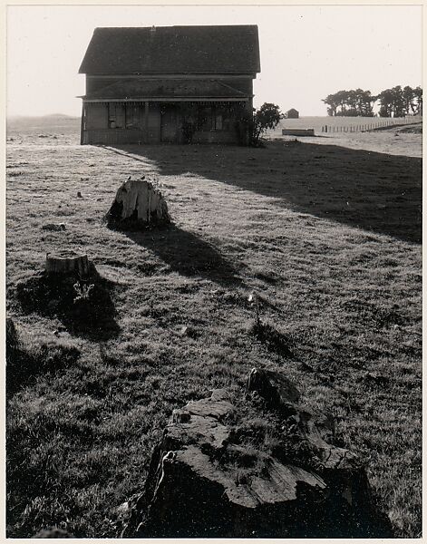 House, Stumps and Pasture, Mendocino, California, Ansel Easton Adams (American, San Francisco, California 1902–1984 Carmel, California), Instant diffusion transfer print (Polaroid) 