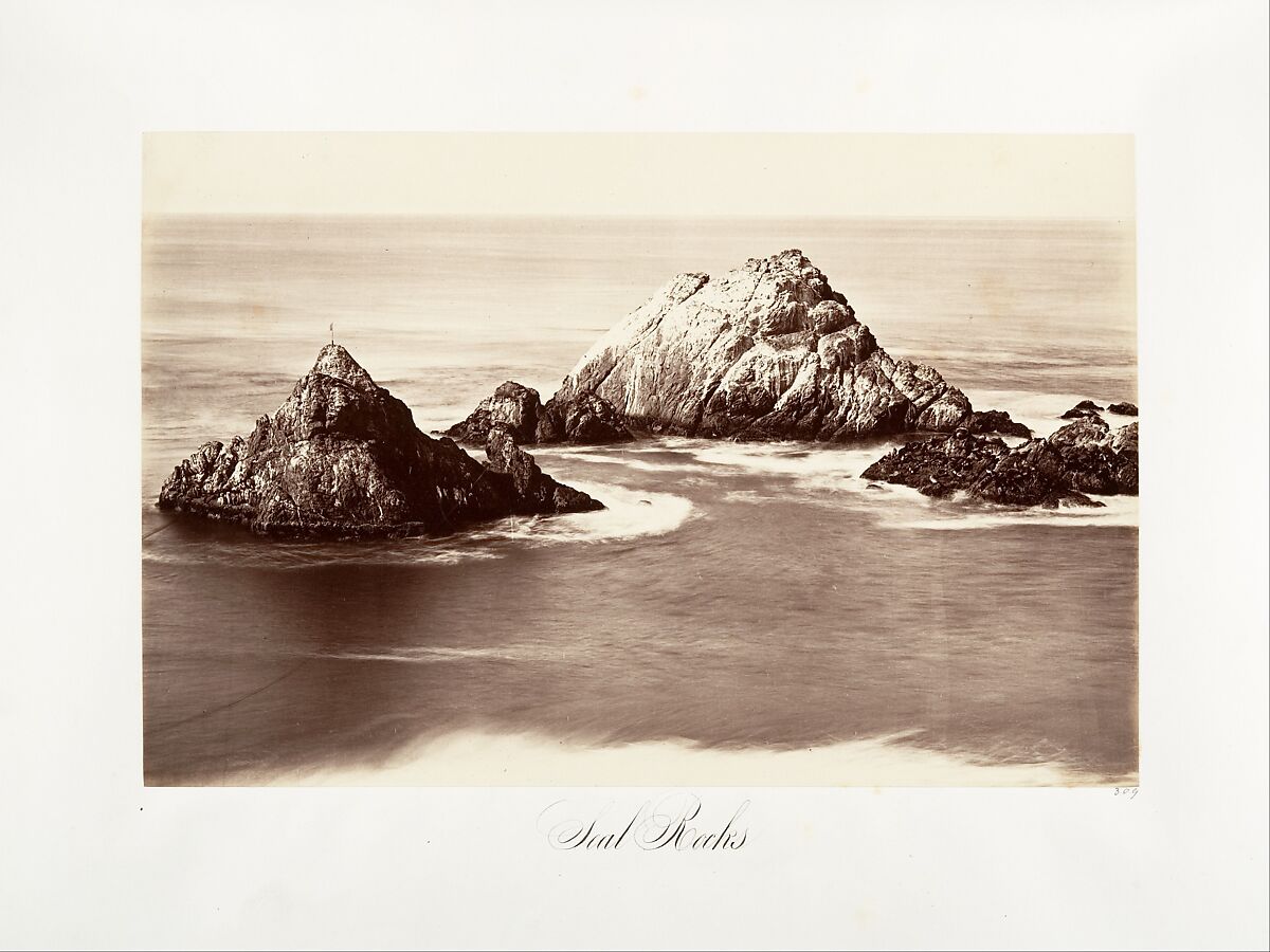 Seal Rocks, Carleton E. Watkins (American, 1829–1916), Albumen silver print from glass negative 