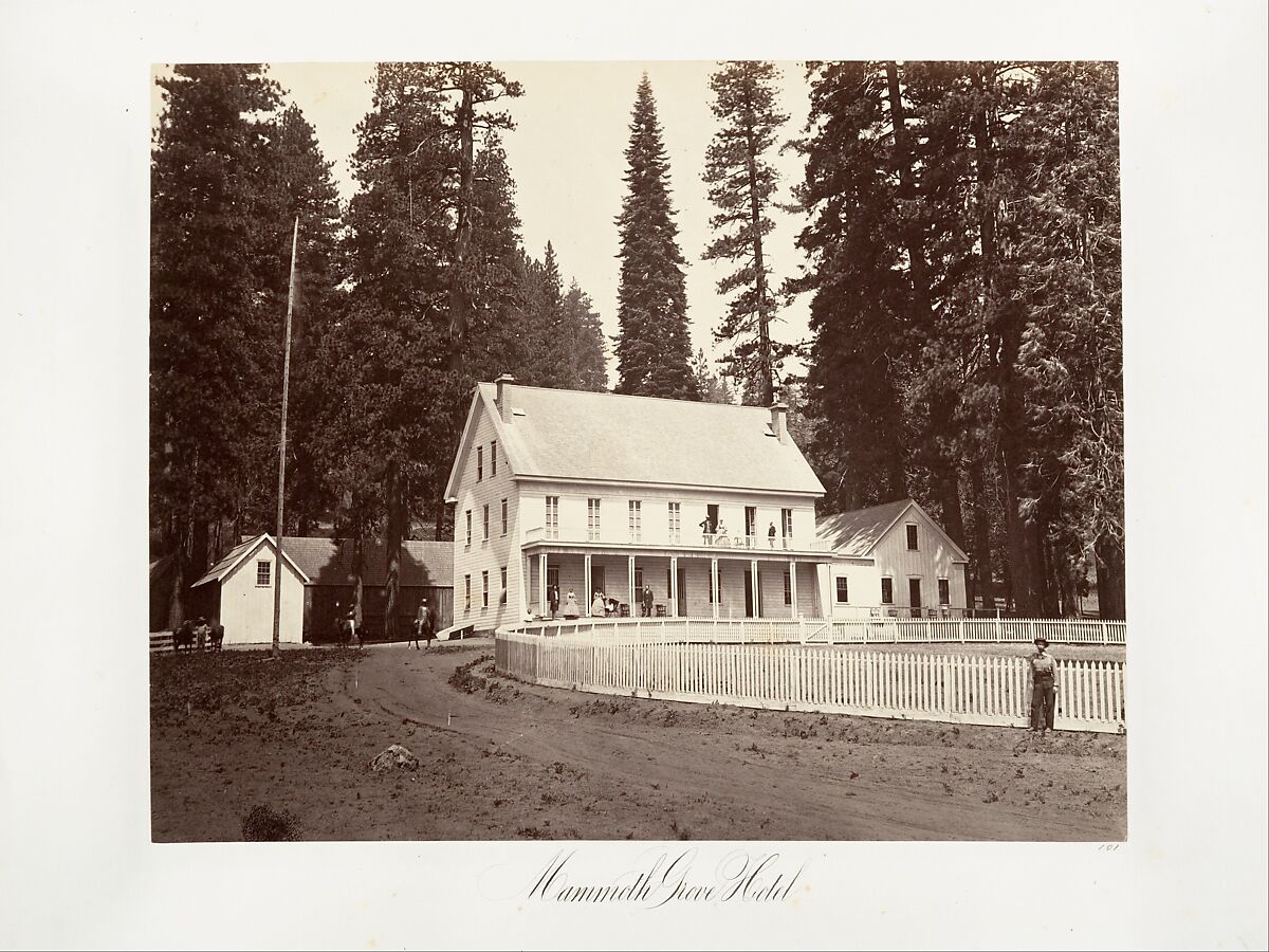 Mammoth Grove Hotel, Carleton E. Watkins (American, 1829–1916), Albumen silver print from glass negative 