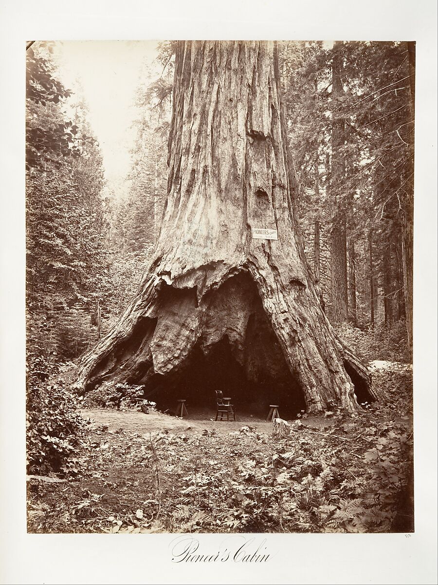 Pioneer's Cabin, Carleton E. Watkins (American, 1829–1916), Albumen silver print from glass negative 