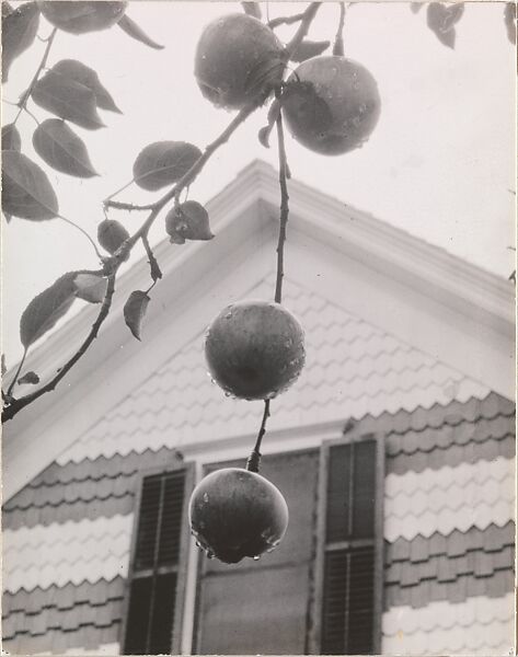Gable and Apples, Alfred Stieglitz (American, Hoboken, New Jersey 1864–1946 New York), Gelatin silver print 