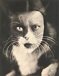 Io + gatto, Wanda Wulz  Italian, Gelatin silver print