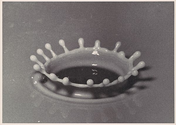 Drop of Milk, Harold Edgerton (American, 1903–1990), Gelatin silver print 