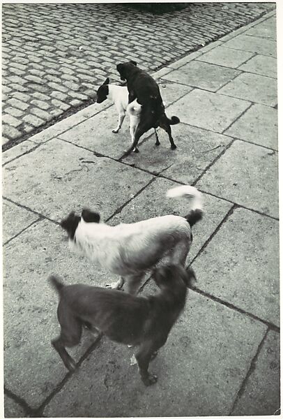 Paris, Henri Cartier-Bresson (French, Chanteloup-en-Brie 1908–2004 Montjustin), Gelatin silver print 