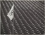 Calisthenics in the Stadium, Olympic Games, Berlin, Leni Riefenstahl  German, Gelatin silver print