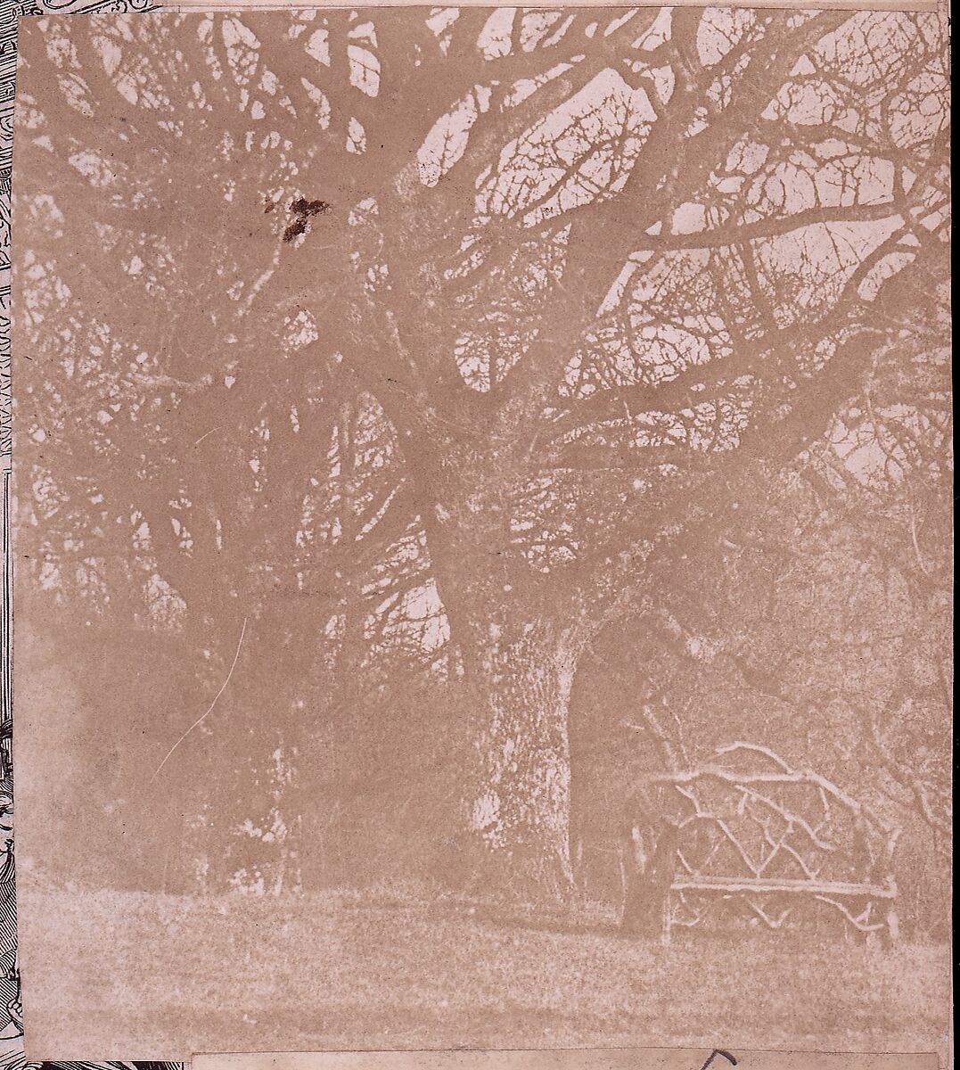 [Collection of British Calotypes and Wood-engravings], William John Newton (British, 1785–1869), Salted paper prints and engravings