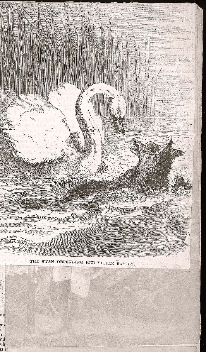 [Collection of British Calotypes and Wood-engravings], William John Newton (British, 1785–1869), Salted paper prints and engravings