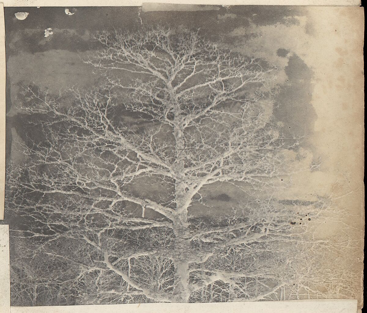 [Collection of British Calotypes and Wood-engravings], William John Newton (British, 1785–1869), Salted paper prints and engravings