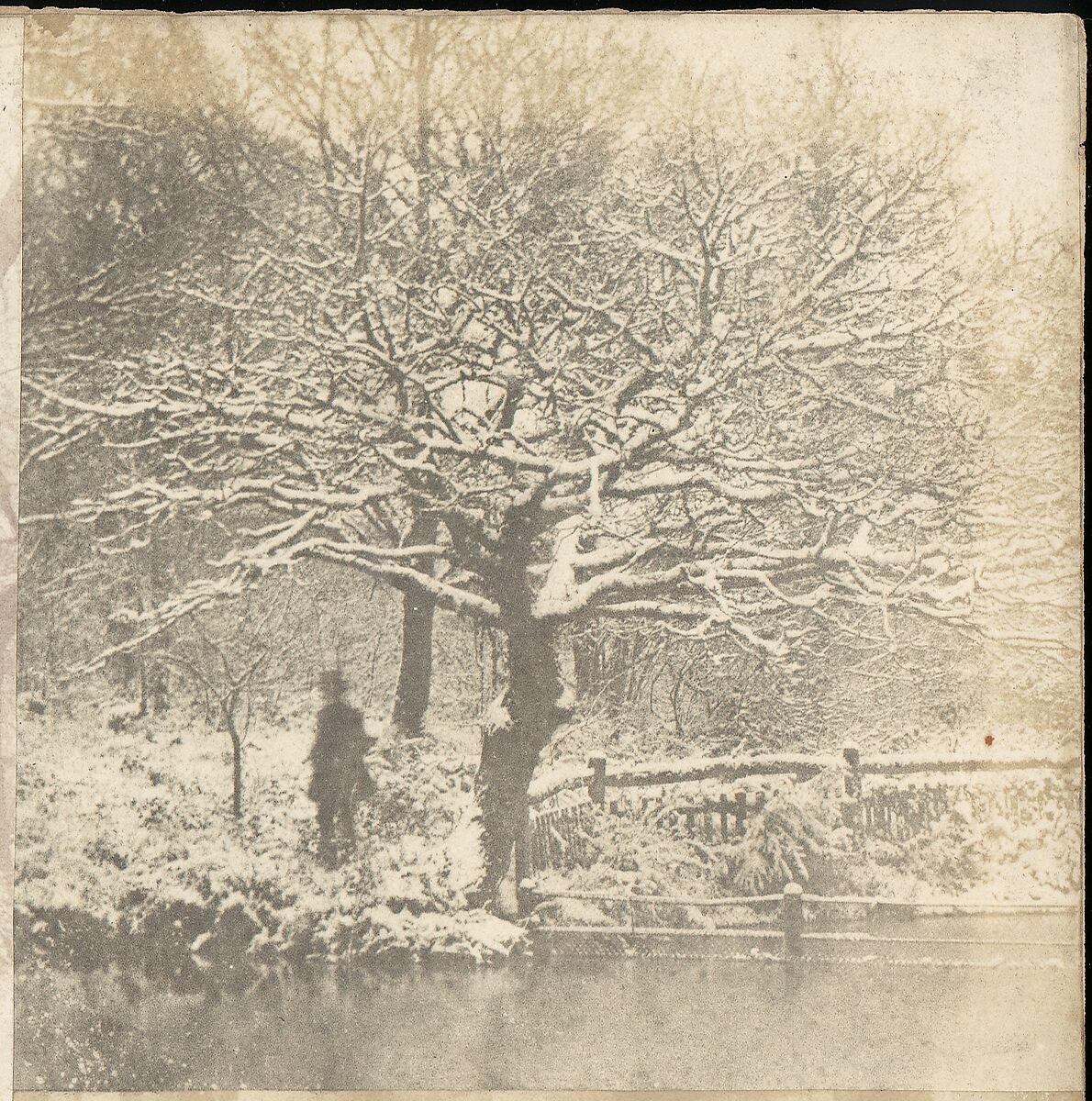 [Collection of British Calotypes and Wood-engravings], William John Newton (British, 1785–1869), Salted paper prints and engravings