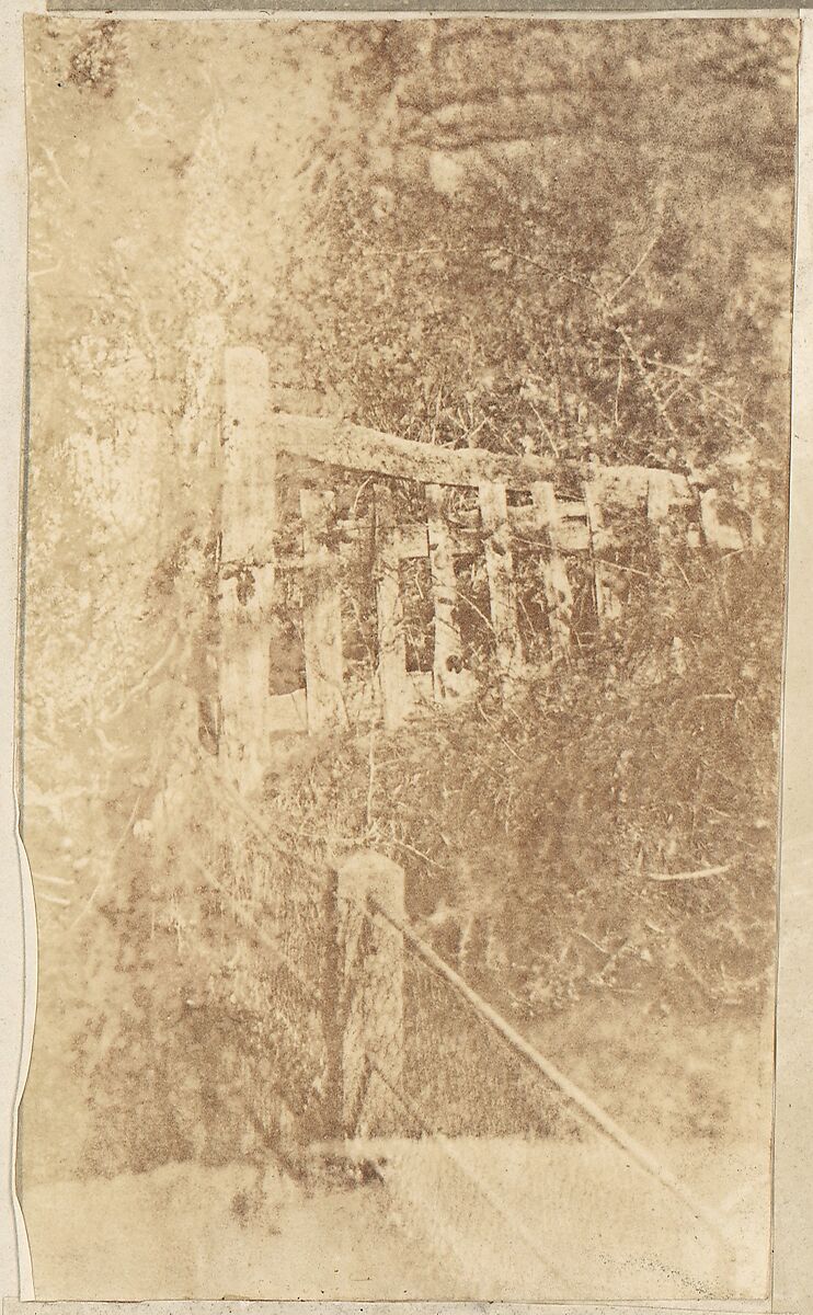 [Collection of British Calotypes and Wood-engravings], William John Newton (British, 1785–1869), Salted paper prints and engravings