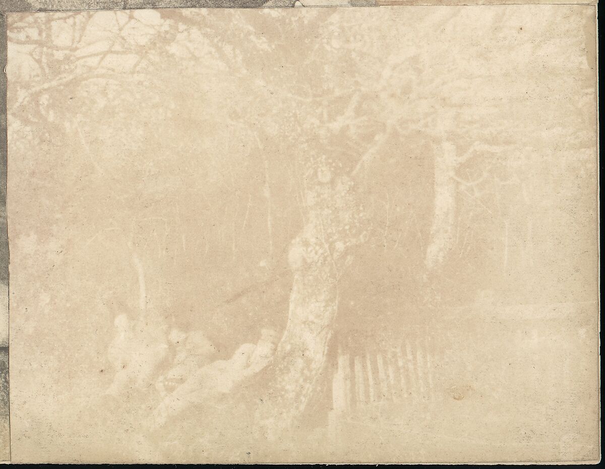 [Collection of British Calotypes and Wood-engravings], William John Newton (British, 1785–1869), Salted paper prints and engravings