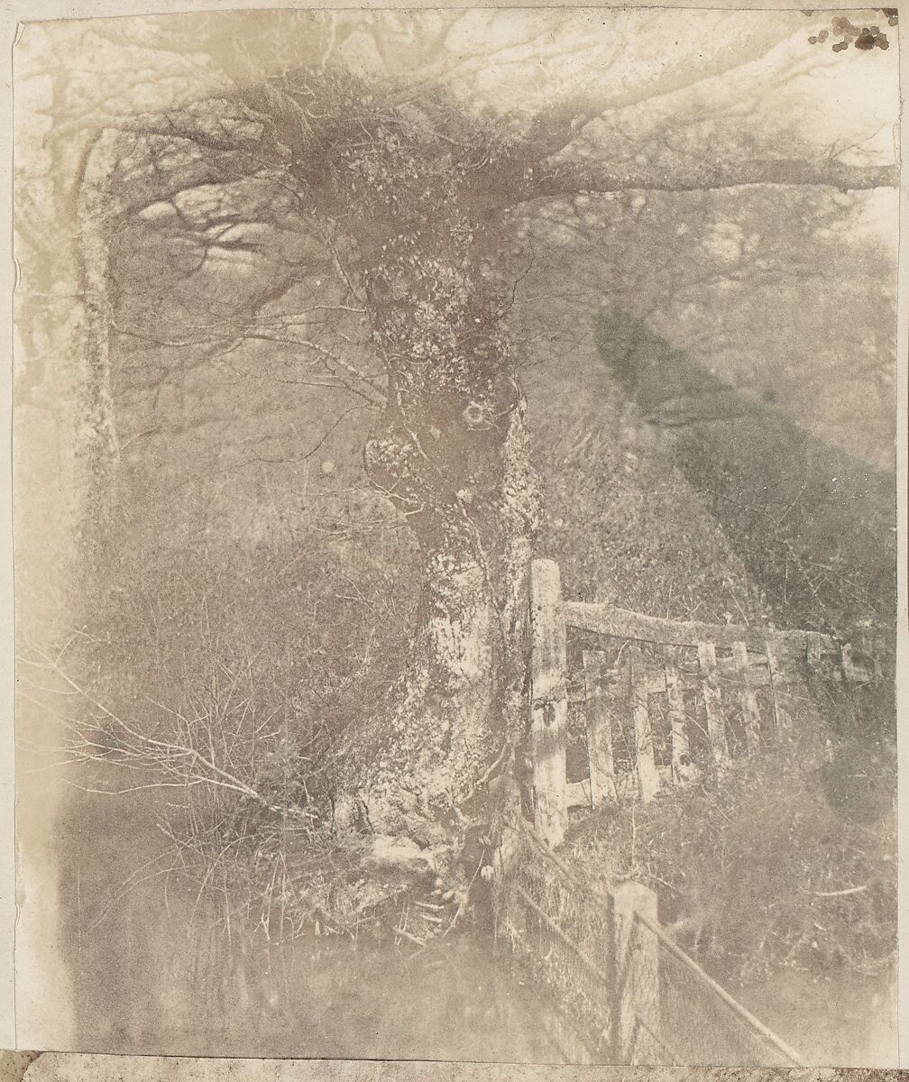 [Collection of British Calotypes and Wood-engravings], William John Newton (British, 1785–1869), Salted paper prints and engravings