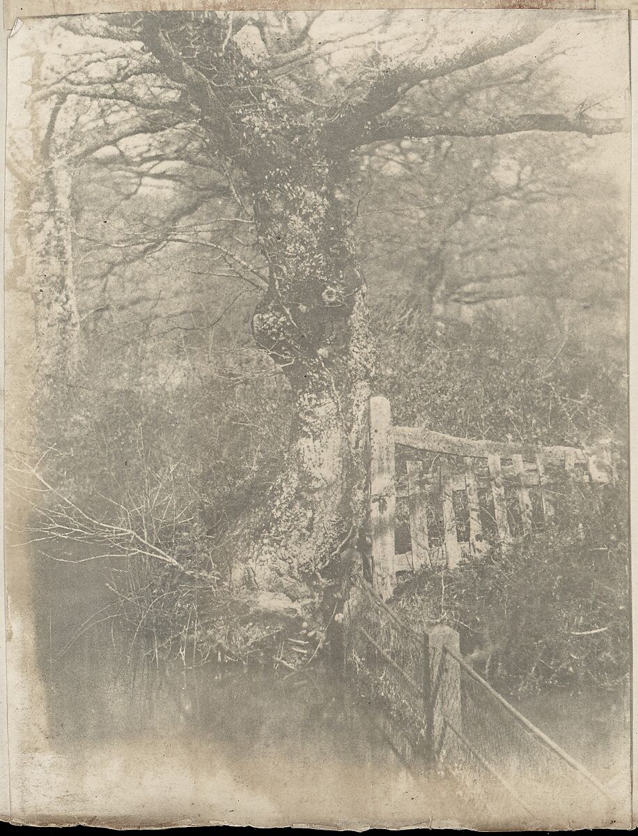 [Collection of British Calotypes and Wood-engravings], William John Newton (British, 1785–1869), Salted paper prints and engravings