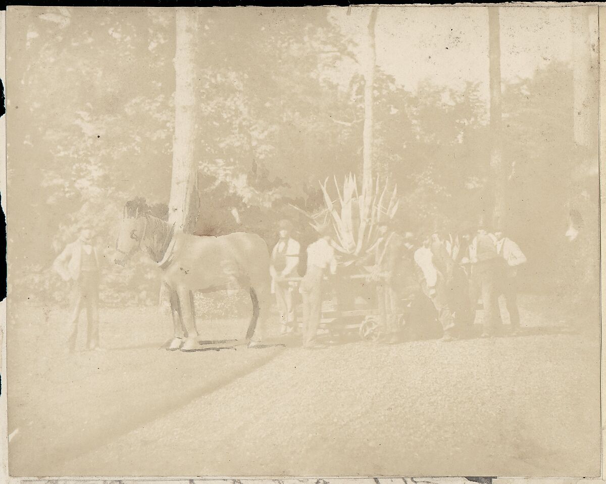 [Collection of British Calotypes and Wood-engravings], William John Newton (British, 1785–1869), Salted paper prints and engravings