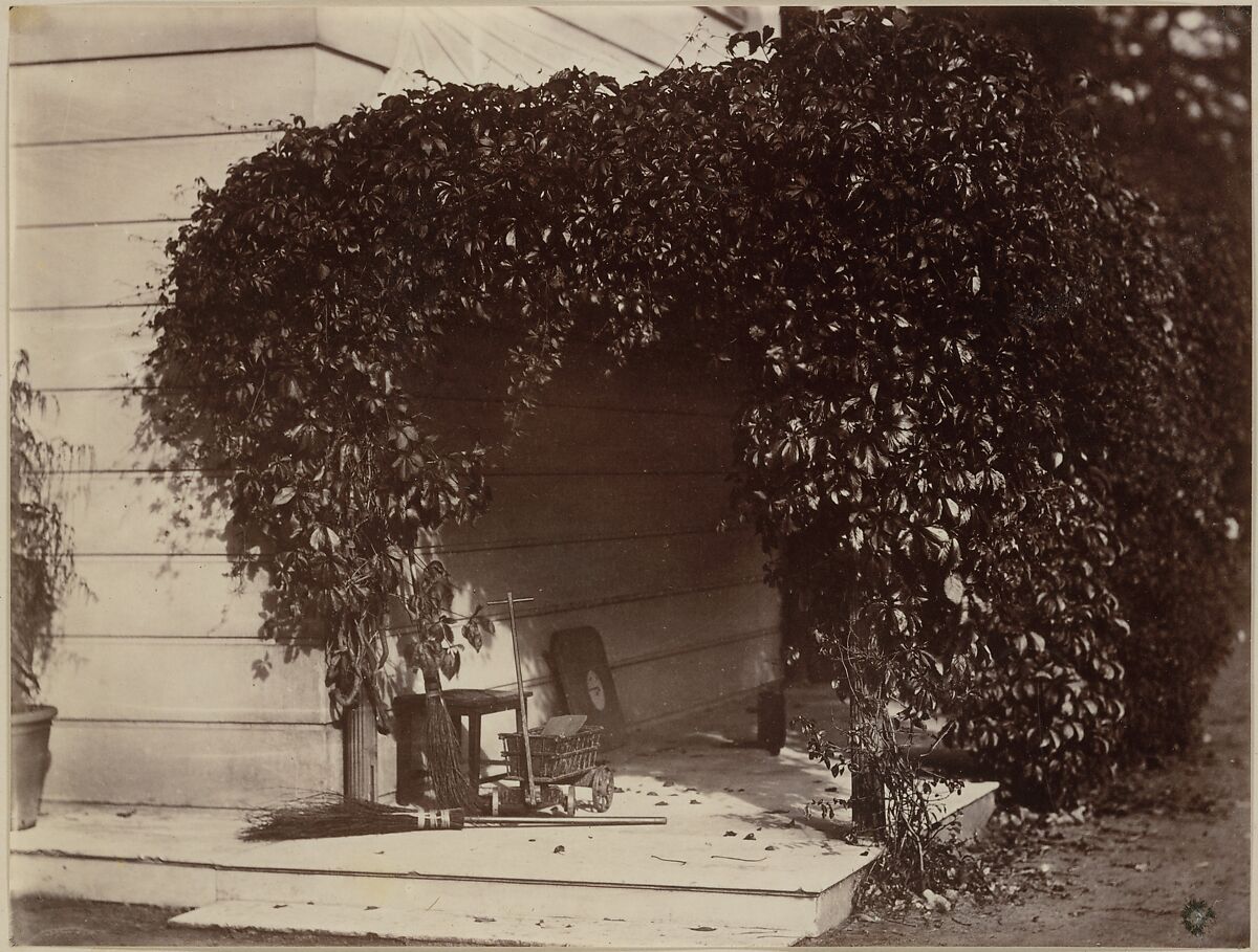 American Creeper, Blake House, Alfred Capel Cure (British, 1826–1896), Albumen silver print from paper negative 