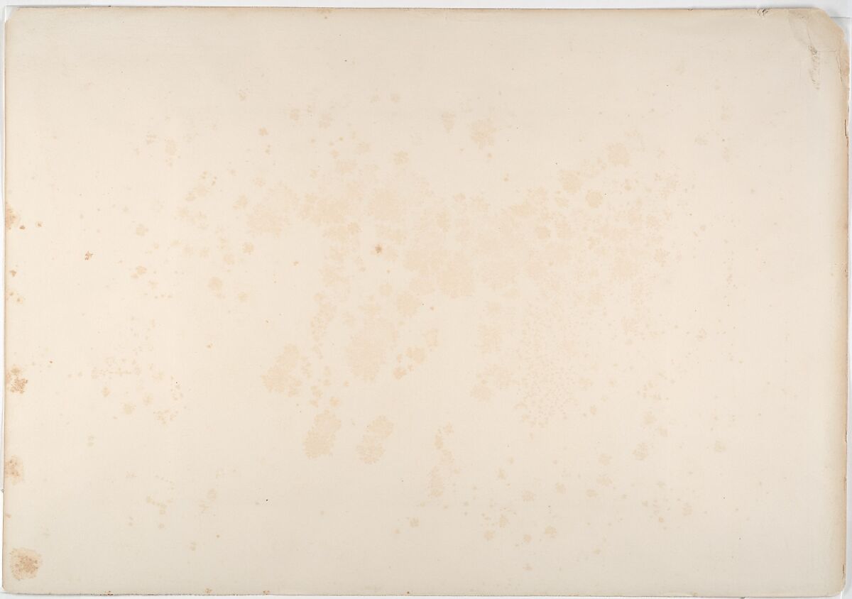 In the Valley of the Mole, Robert Howlett (British, 1831–1858), Albumen silver print from glass negative