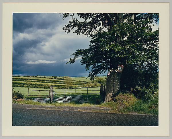 Unionist Posters and Storm, County Tyrone