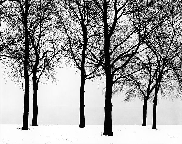 Chicago, Harry Callahan (American, Detroit, Michigan 1912–1999 Atlanta, Georgia), Gelatin silver print 