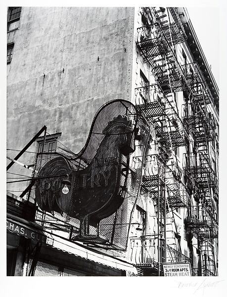 [Poultry Shop, East Seventh Street, New York], Berenice Abbott (American, Springfield, Ohio 1898–1991 Monson, Maine), Gelatin silver print 